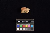 陶把藏品圖，第4張