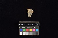 陶片藏品圖，第2張