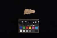 陶片藏品圖，第3張