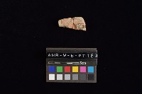 陶片藏品圖，第4張