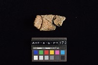 陶罐藏品圖，第1張