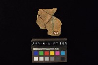 陶片藏品圖，第3張