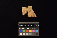 陶片藏品圖，第4張