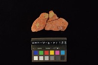 連杯形器藏品圖，第4張