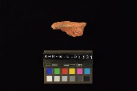 陶片藏品圖，第2張