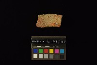 陶罐藏品圖，第3張