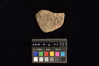 陶片藏品圖，第2張