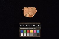 陶片藏品圖，第3張