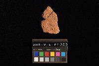 陶片藏品圖，第2張