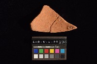 陶片藏品圖，第4張