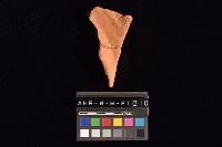 連杯形器藏品圖，第3張