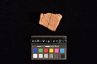 連杯形器藏品圖，第1張