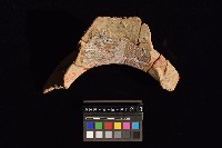 陶罐藏品圖，第2張