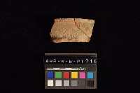 陶罐藏品圖，第2張