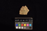 陶片藏品圖，第1張