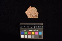 陶片藏品圖，第4張