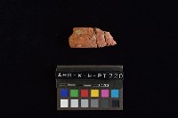 陶片藏品圖，第2張