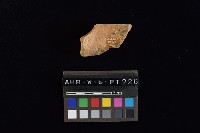 陶罐藏品圖，第4張