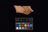 陶罐藏品圖，第4張