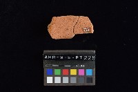 陶罐藏品圖，第4張