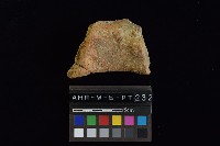 陶罐藏品圖，第4張