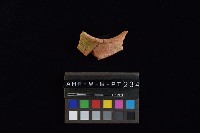 陶罐藏品圖，第3張