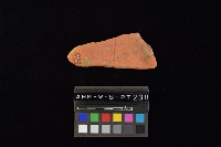 陶片藏品圖，第4張