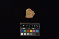 陶片藏品圖，第3張