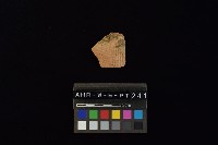 陶片藏品圖，第4張