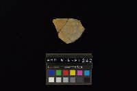 陶片藏品圖，第3張