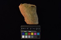 陶片藏品圖，第3張