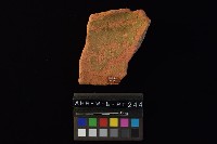 陶片藏品圖，第4張