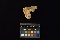 陶片藏品圖，第3張