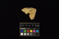 陶片藏品圖，第4張