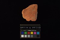 連杯形器藏品圖，第2張