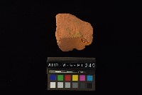 連杯形器藏品圖，第4張