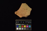 連杯形器藏品圖，第4張