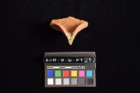 連杯形器藏品圖，第2張