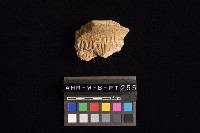 陶罐藏品圖，第4張