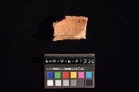 陶罐藏品圖，第2張