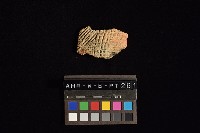 陶片藏品圖，第3張