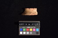 陶片藏品圖，第2張