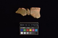 陶罐藏品圖，第3張