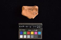 陶片藏品圖，第4張