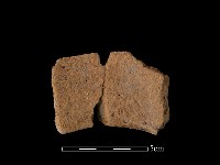 陶罐藏品圖，第2張