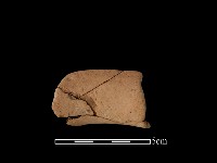 陶罐藏品圖，第1張