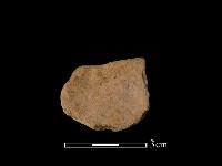 陶片藏品圖，第1張