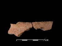 陶片藏品圖，第2張