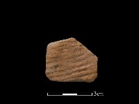 陶片藏品圖，第2張