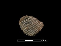 陶片藏品圖，第1張